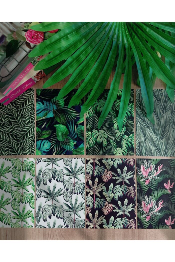 1_org_zoom-45