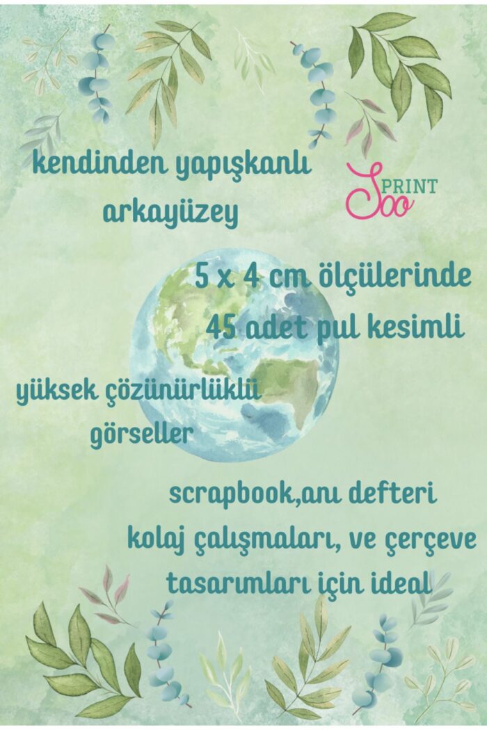 1_org_zoom-6